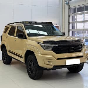 Pet AMG Desert storm