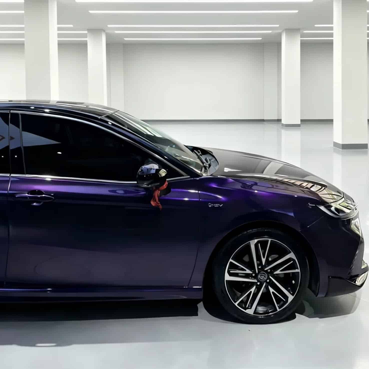 Pet Metallic Midnight Purple - Image 4